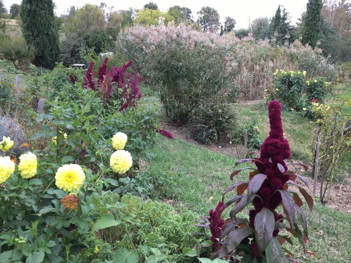 La Source, Vegetarian Guest House Chabeuil Kültér fotó