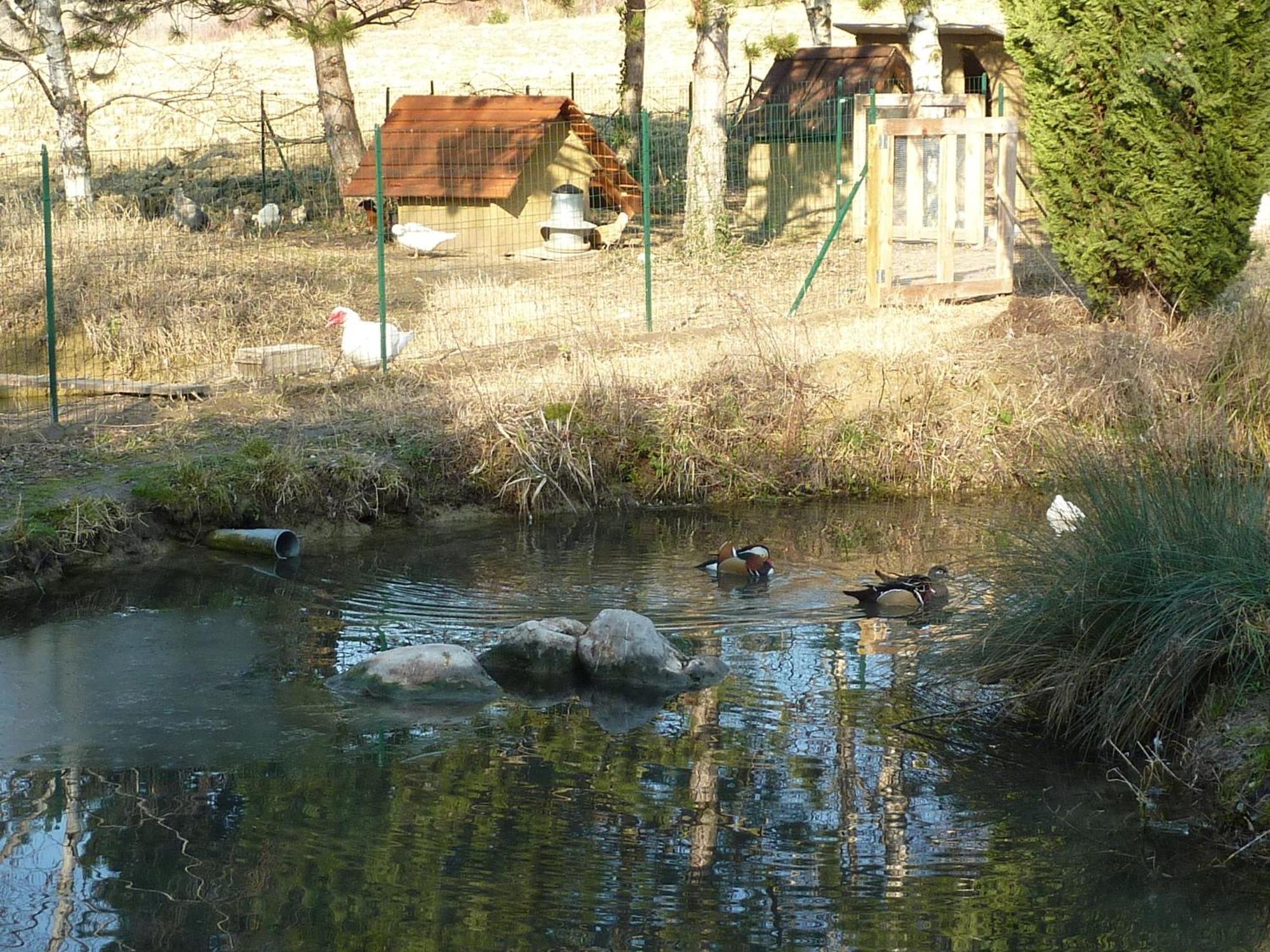 La Source, Vegetarian Guest House Chabeuil Kültér fotó